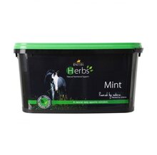 Lincoln Herbs Mint - 600g