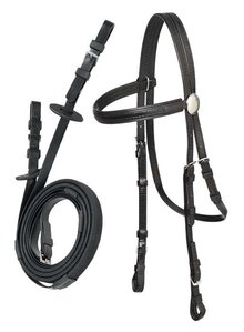 Zilco Stainless Steel Race Bridle & Rein Sets