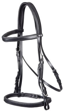 Zilco Padded Bridle And Cavesson