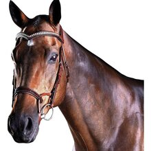 Collegiate Comfitec Patent Bridle