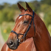 Collegiate Comfitec Training Bridle