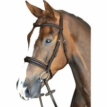 Collegiate Mono Crown Padded Raised Cavesson Bridle