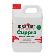 Horse First Cuppra