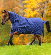 Horseware Amigo Hero 900 All-In-One Turnout Medium - 200g