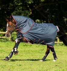 Horseware Amigo Bravo 12 Plus Turnout Medium - 250g