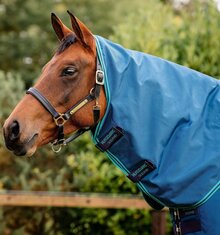 Horseware Rhino Original Turnout Hood - No Fill