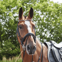 Whitaker Barton Bling Flash Bridle w/ Rubber Reins