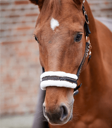 Waldhausen Elegant Halter