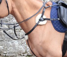 Mackey Classic 5 Point Breastplate