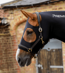 Premier Equine Stretch Lycra Hood