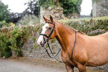 Mackey Legend Athena Bridle