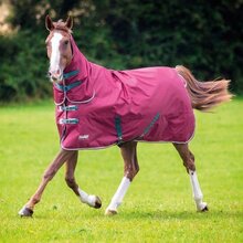 Shires Tempest originale 200 Combo