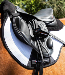 Premier Equine Air Technology antichocs en laine mérinos GP / Sautant place