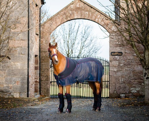 Horseware Rambo Sports Cooler