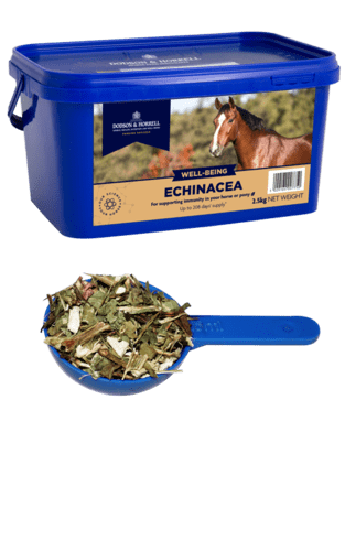 Dodson & Horrell Echinacea - 1Kg