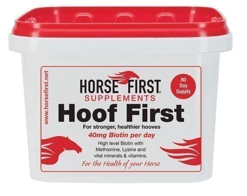 Horse First