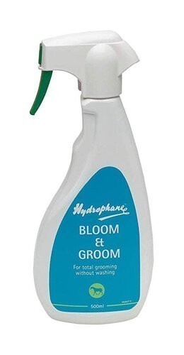Hydrophane Bloom & Groom