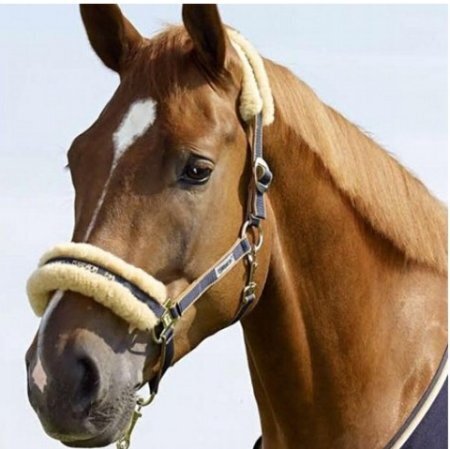 Eskadron Licol Classic Sport - peau de mouton