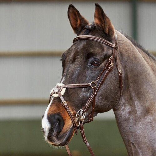 Whitaker Valencia Mexican Bridle w/ 9-Loop Rubber Reins
