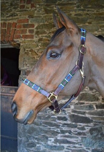 Celtic Equine Chukka Leather Headcollar