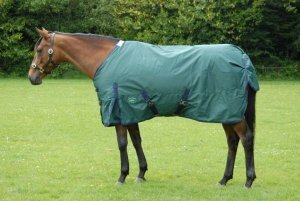 Celtic Equine Cobra Minature Turnout