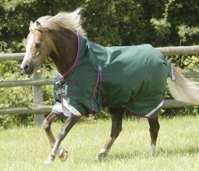 Premier Equine Buster Hardy Turnout Rug - Pony