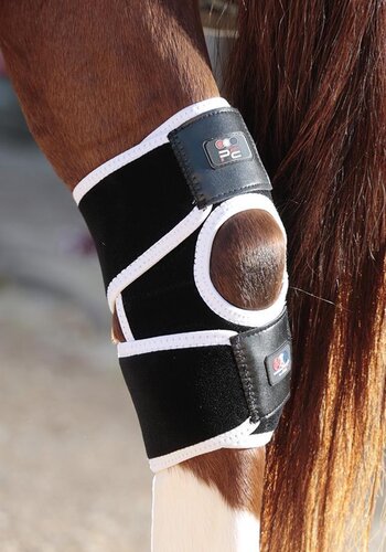 Premier Equine Magni-Teque Magnetic Hock Boots - One Size