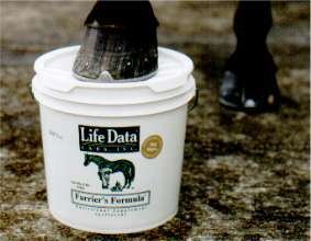 Life Data Farriers Formula