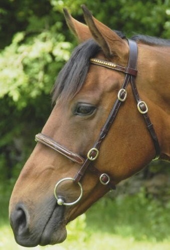Celtic Equine Inhand Fancy Bridle - Full Grain Leather