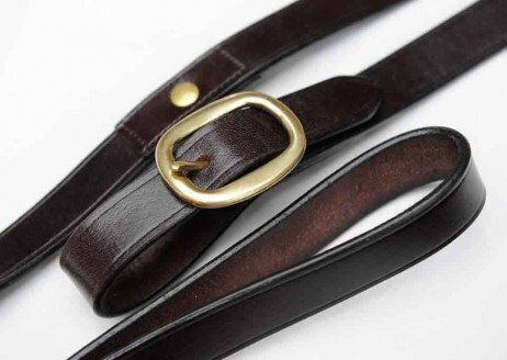 Celtic Equine Leather Lead