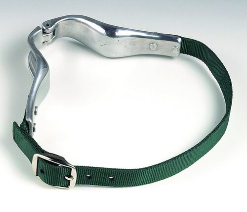 Collier anti tique