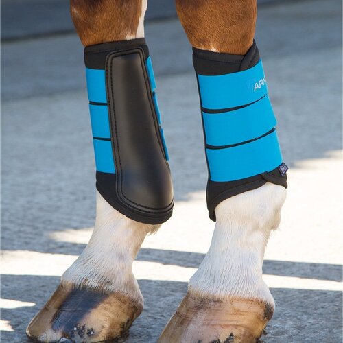 Shires Arma neoprene spazzolatura Stivali