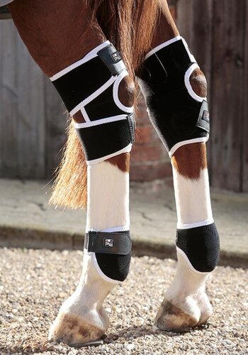 Premier Equine Magni-Teque Magnetic Hock Boots - One Size