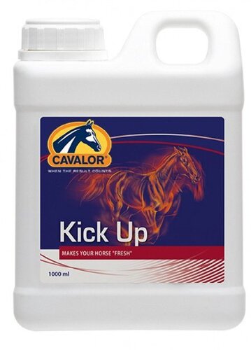 Cavalor Kick up