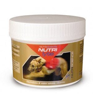 NutriScience NutriLyTe - 400g Powder
