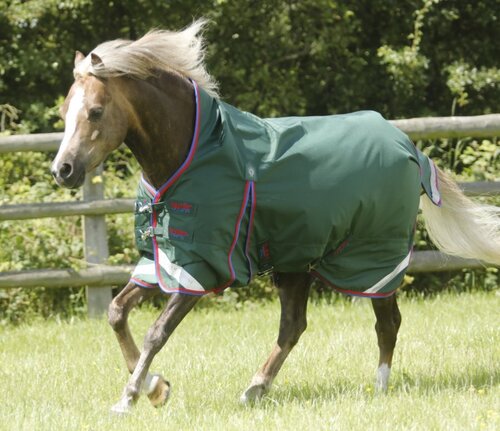 Premier Equine Buster Hardy Turnout Rug - Pony