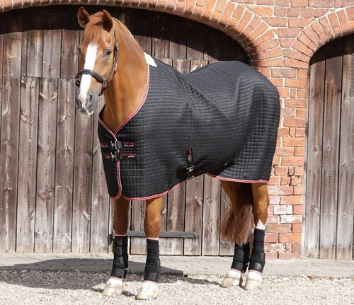 Premier Equine Dry-Tech Cooler Rug