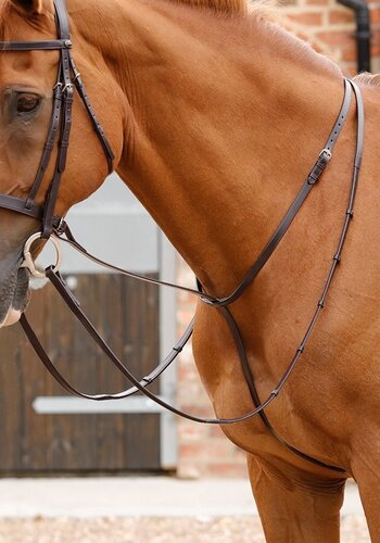 Premier Equine Gressan Standing Martingale