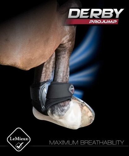 LeMieux Derby ProJump Fetlock Boots