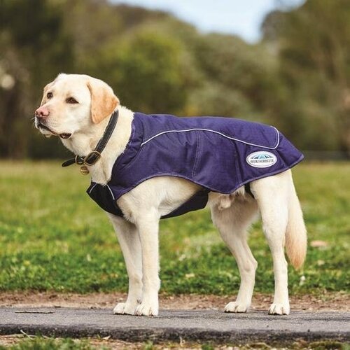 Weatherbeeta 1200D Exercise Dog Coat