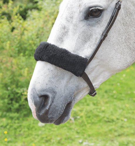 Shires Acrilan Fourreaux de muserolle