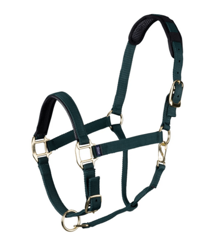 Shires Topaz Nylon Headcollar