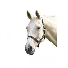 Shires Wessex Headcollar